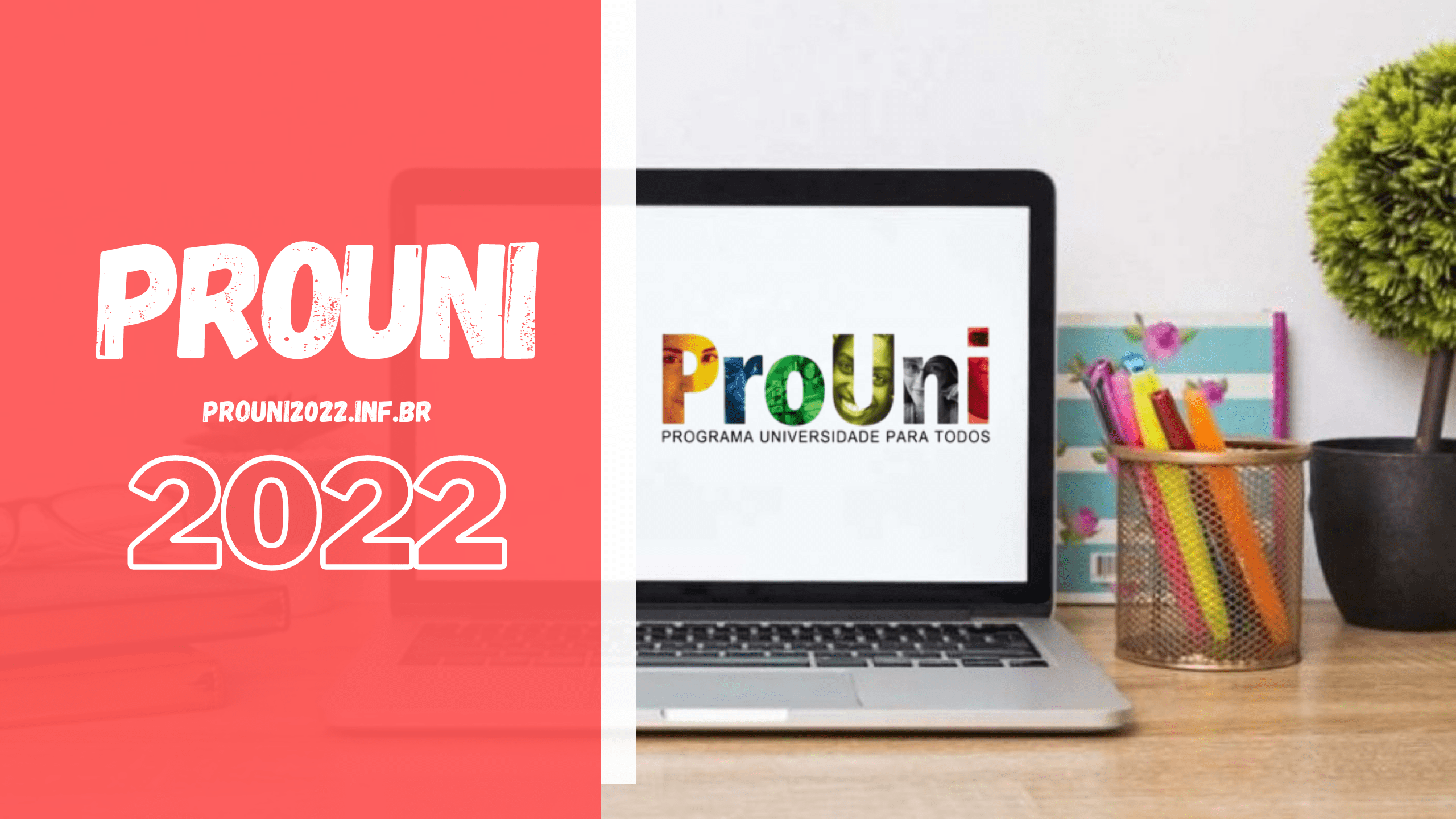 Prouni 2022: confira a oferta de bolsas em cada estado